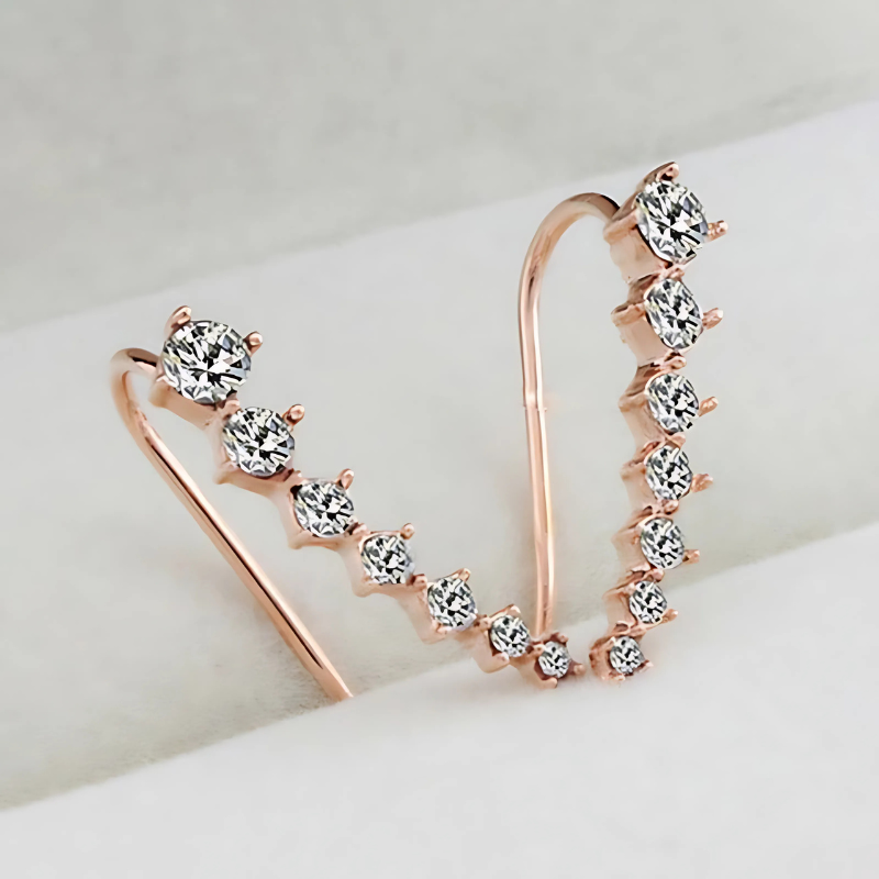 Earrings 1+1 GRATIS: Lang Elegant Clip-Aan Oorbellen voor Vrouwen